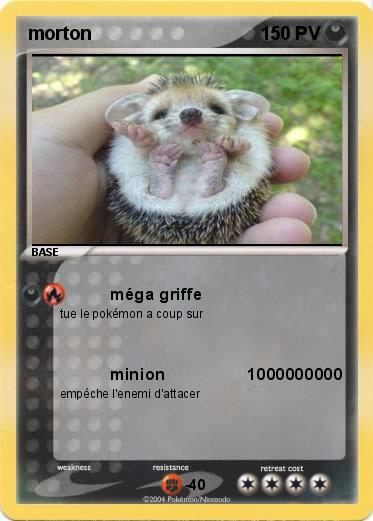 Pokemon morton