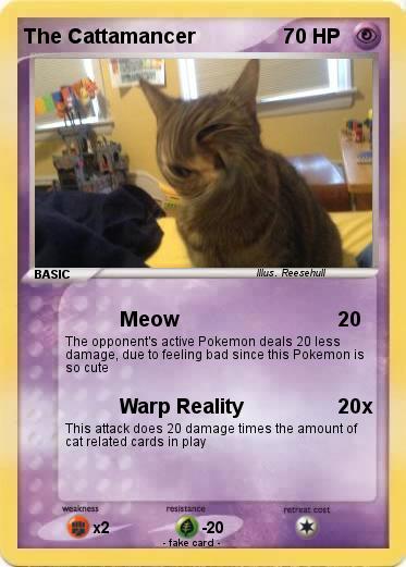Pokemon The Cattamancer