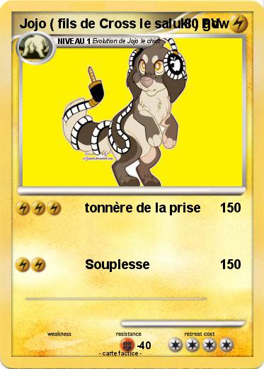 Pokemon Jojo ( fils de Cross le saluki ) gdw