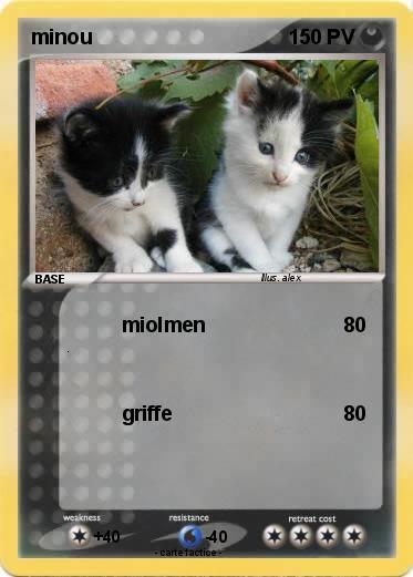 Pokemon minou