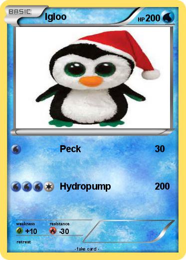 Pokemon Igloo