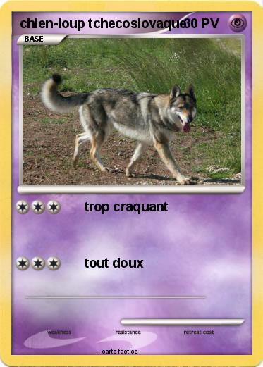 Pokemon chien-loup tchecoslovaque