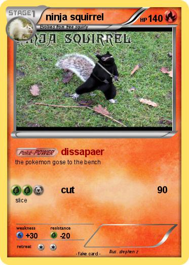 Pokemon ninja squirrel