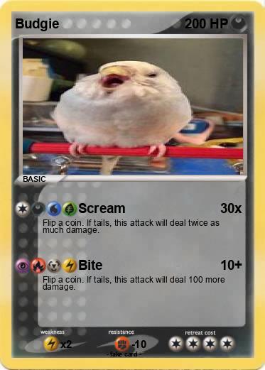 Pokemon Budgie