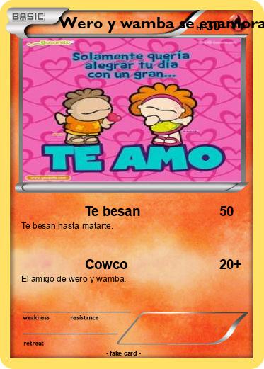 Pokemon Wero y wamba se enamoran
