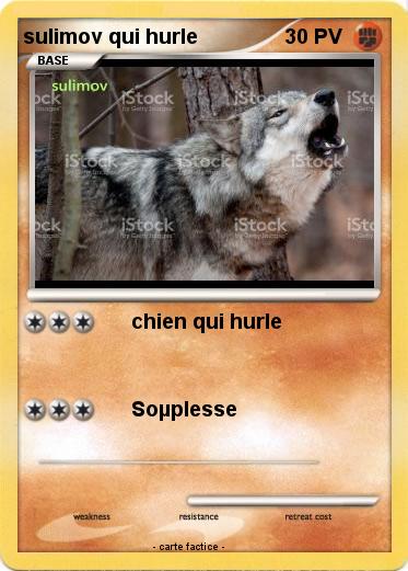 Pokemon sulimov qui hurle
