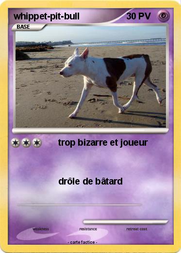 Pokemon whippet-pit-bull