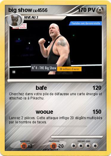 Pokemon big show