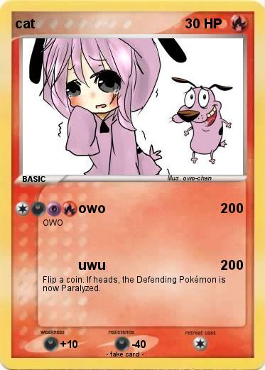 Pokemon cat