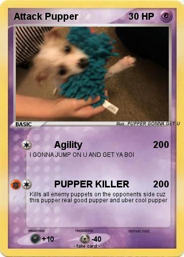 Pokemon Attack Pupper