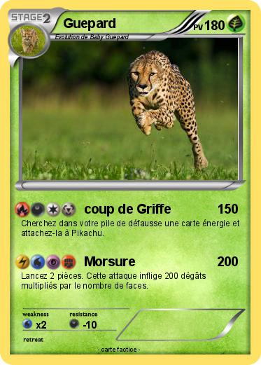 Pokemon Guepard