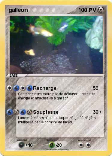 Pokemon galleon