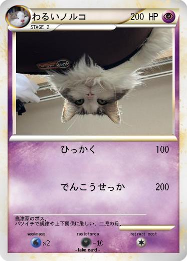 Pokemon わるいノルコ