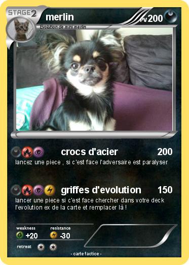 Pokemon merlin