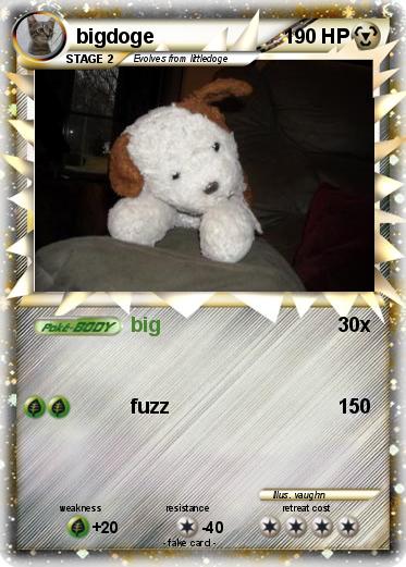 Pokemon bigdoge