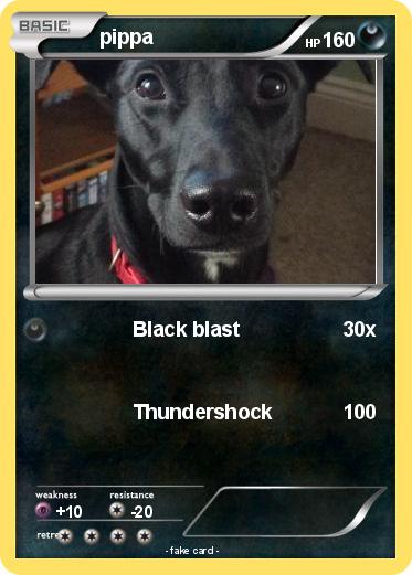 Pokemon pippa