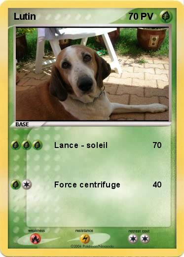Pokemon Lutin
