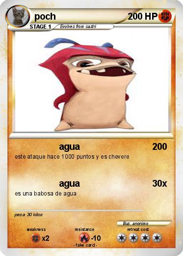 Pokemon poch