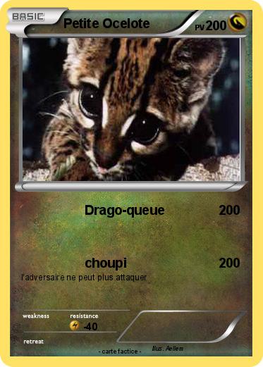 Pokemon Petite Ocelote