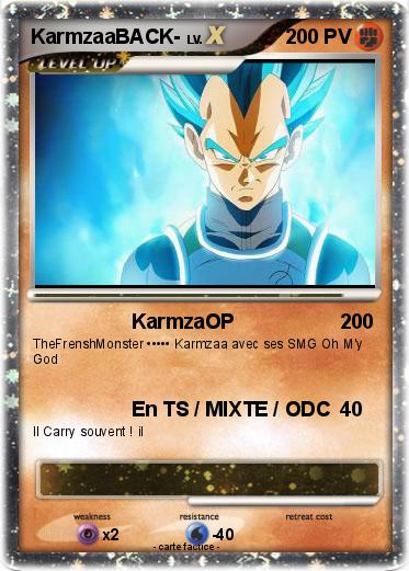 Pokemon KarmzaaBACK-