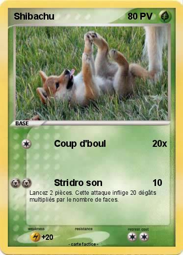 Pokemon Shibachu
