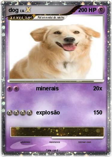 Pokemon dog
