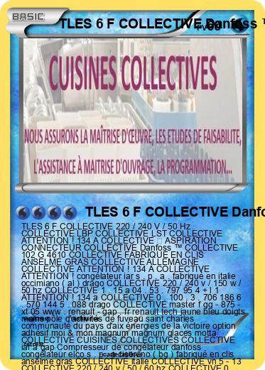 Pokemon TLES 6 F COLLECTIVE Danfoss ™