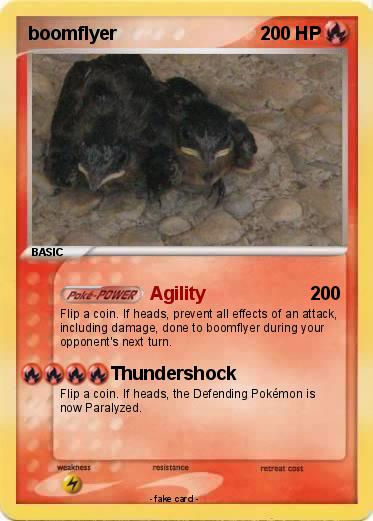 Pokemon boomflyer