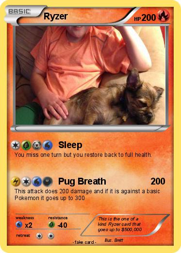 Pokemon Ryzer