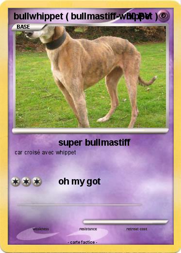 Pokemon bullwhippet ( bullmastiff-whippet )