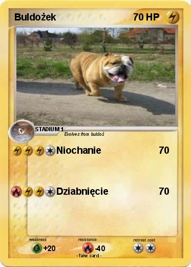 Pokemon Buldożek