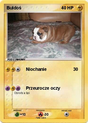 Pokemon Buldoś