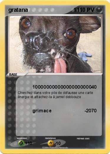 Pokemon gratana                              1