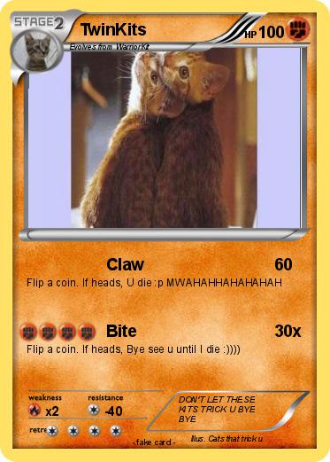 Pokemon TwinKits