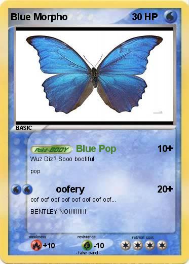 Pokemon Blue Morpho