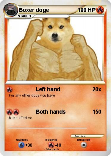 Pokemon Boxer doge