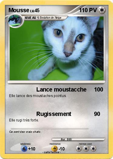 Pokemon Mousse
