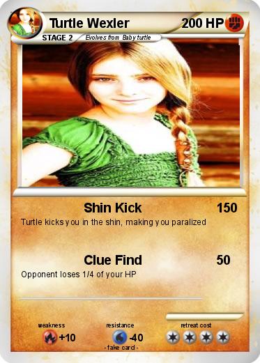 Pokemon Turtle Wexler