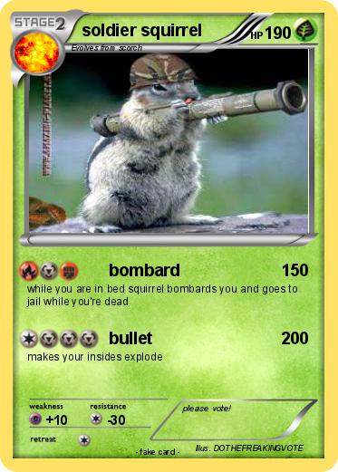 Pokemon soldier squirrel