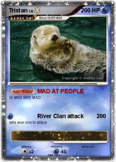Pokemon Tristan