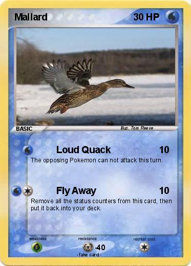 Pokemon Mallard