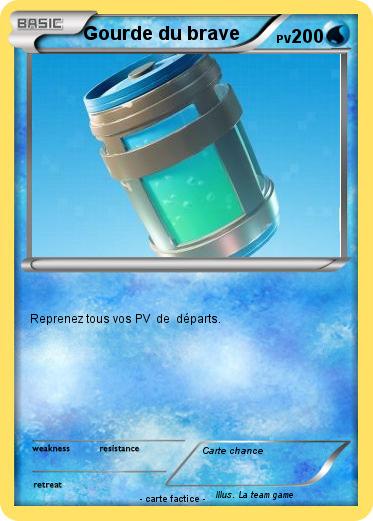 Pokemon Gourde du brave