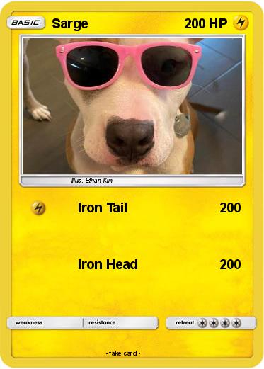 Pokemon Sarge