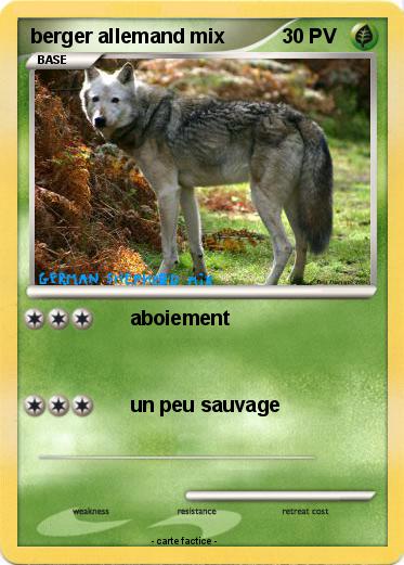 Pokemon berger allemand mix