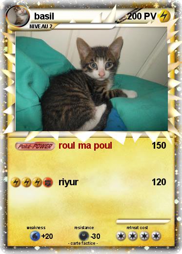 Pokemon basil