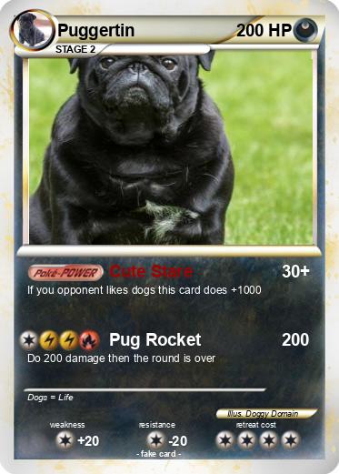 Pokemon Puggertin