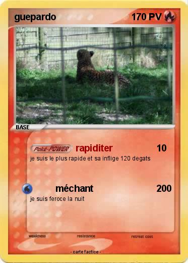 Pokemon guepardo