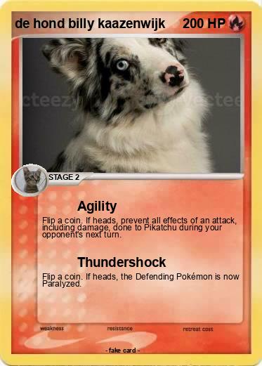 Pokemon de hond billy kaazenwijk