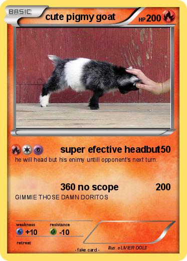 Pokemon cute pigmy goat