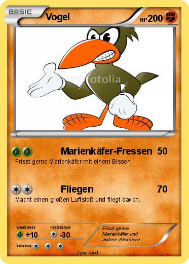 Pokemon Vogel